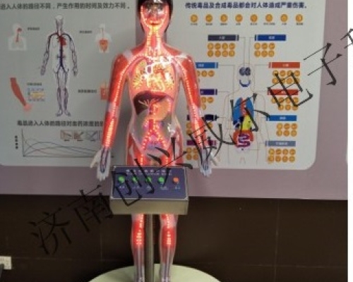 LED人體吸毒血液體驗裝置